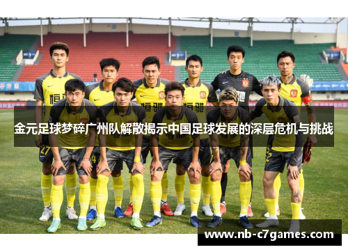 金元足球梦碎广州队解散揭示中国足球发展的深层危机与挑战